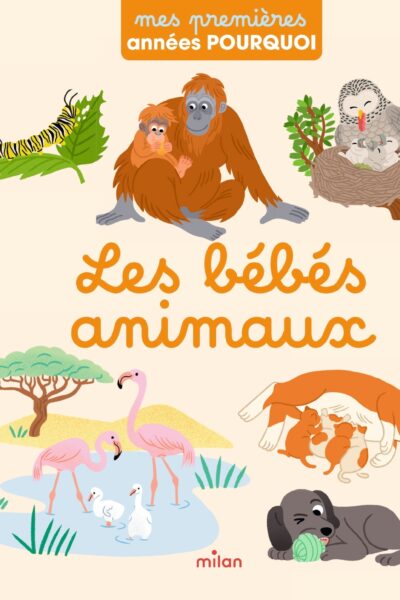 LES BEBES ANIMAUX - MES PREMIERES ANNEES POURQUOI +18M
