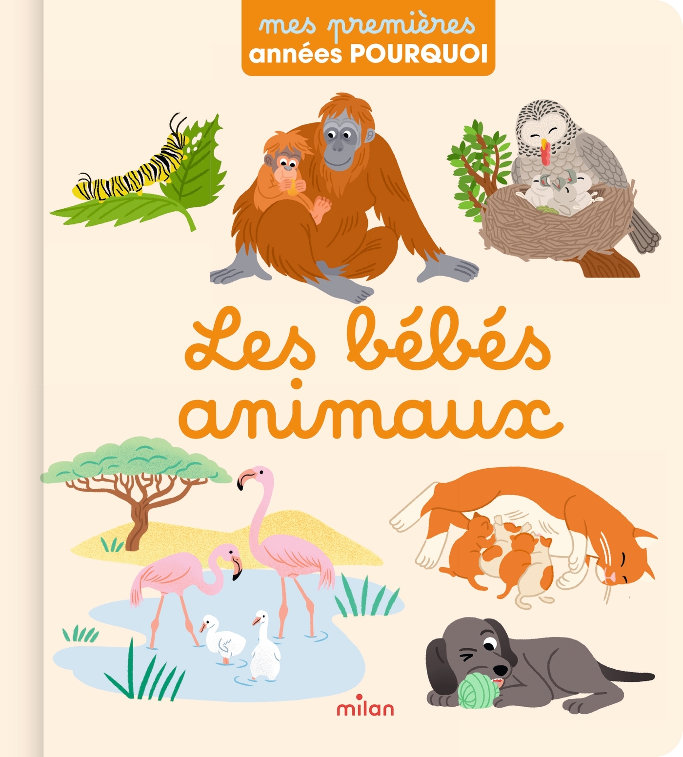LES BEBES ANIMAUX - MES PREMIERES ANNEES POURQUOI +18M