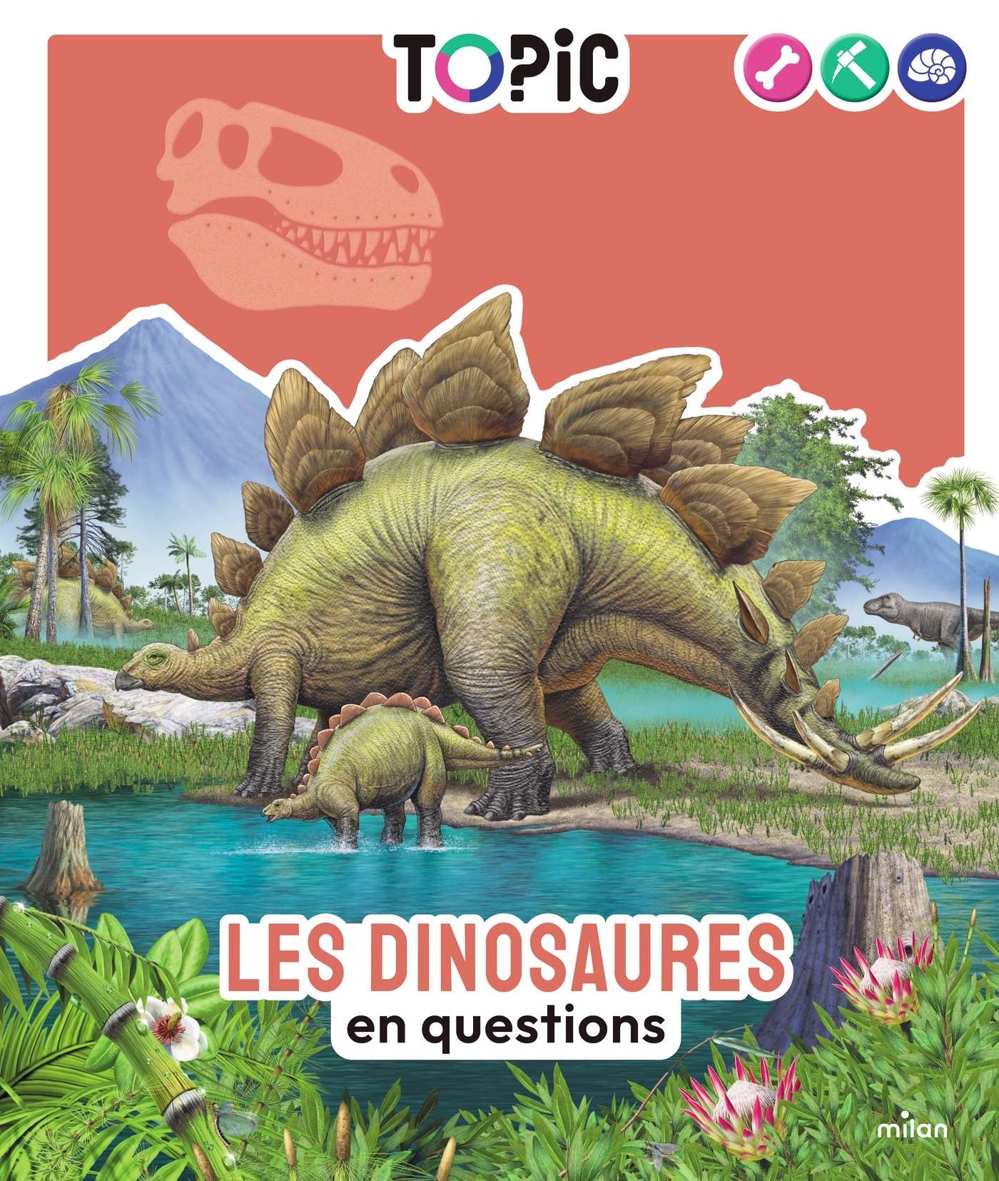LES DINOSAURES EN QUESTIONS - T?OPIC / TOPIC 7+