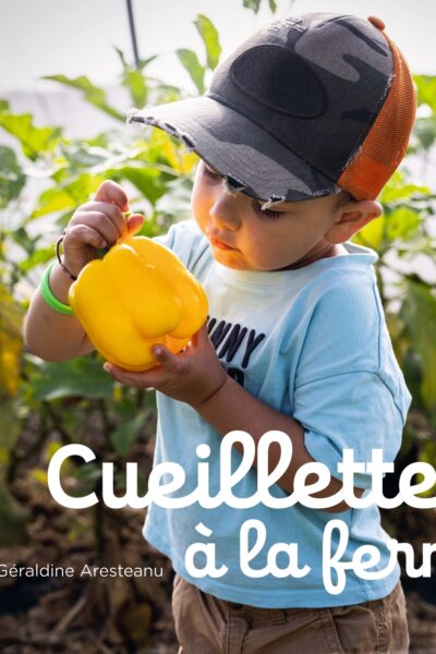 CUEILLETTE A LA FERME - MA JOURNEE