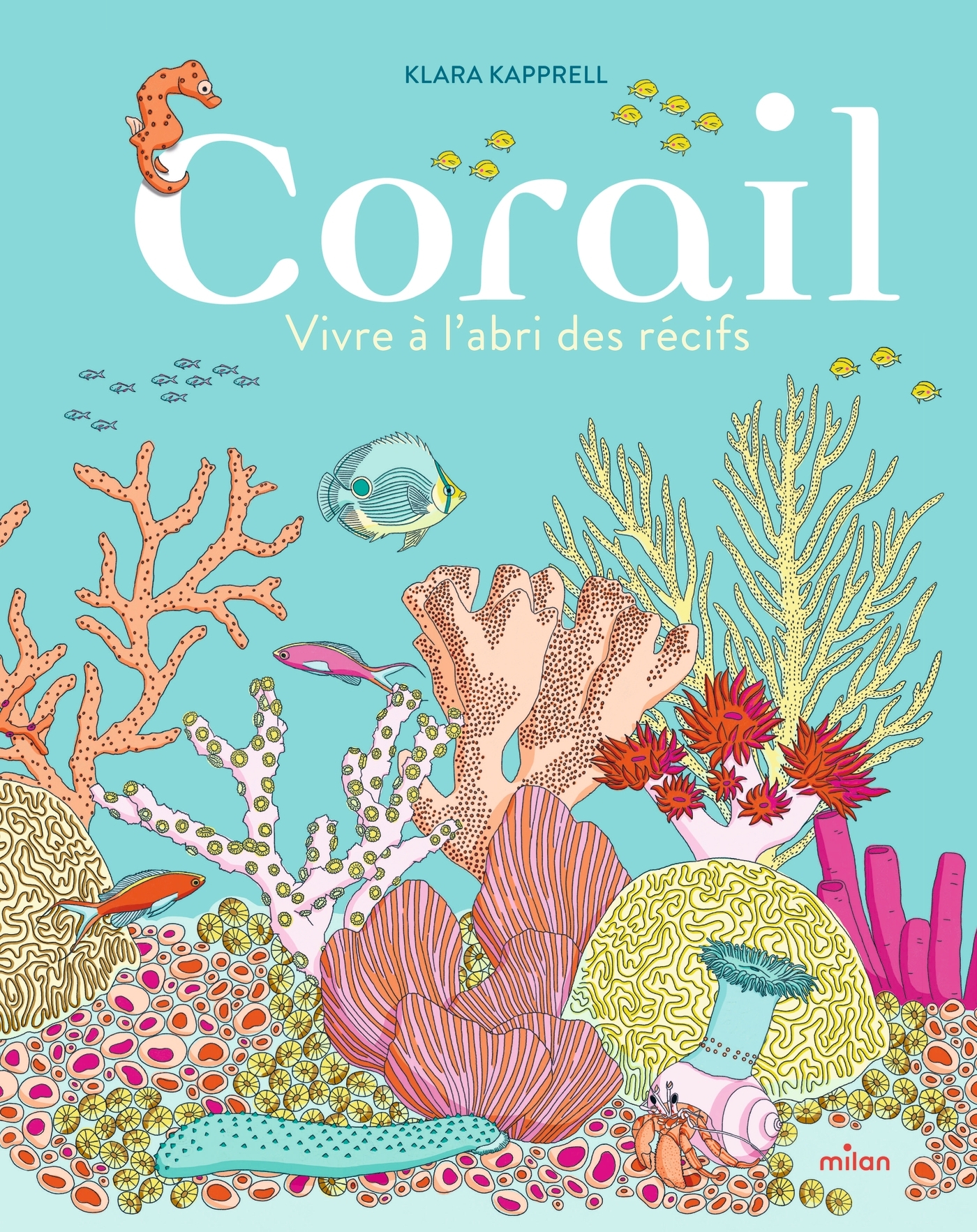 CORAIL, VIVRE A L'ABRI DES RECIFS
