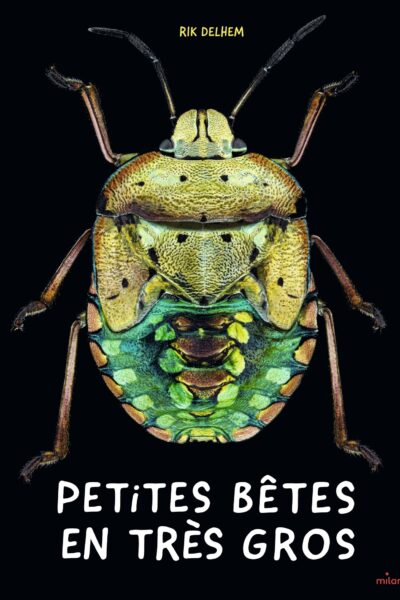 PETITES BÊTES EN TRES GROS