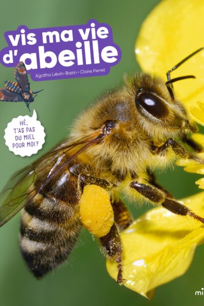 VIS MA VIE D'ABEILLE