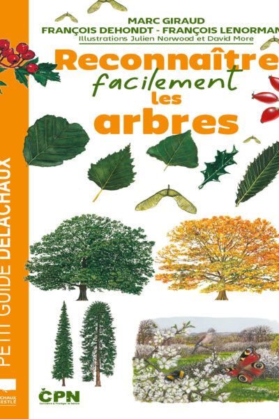 RECONNAÎTRE FACILEMENT LES ARBRES
