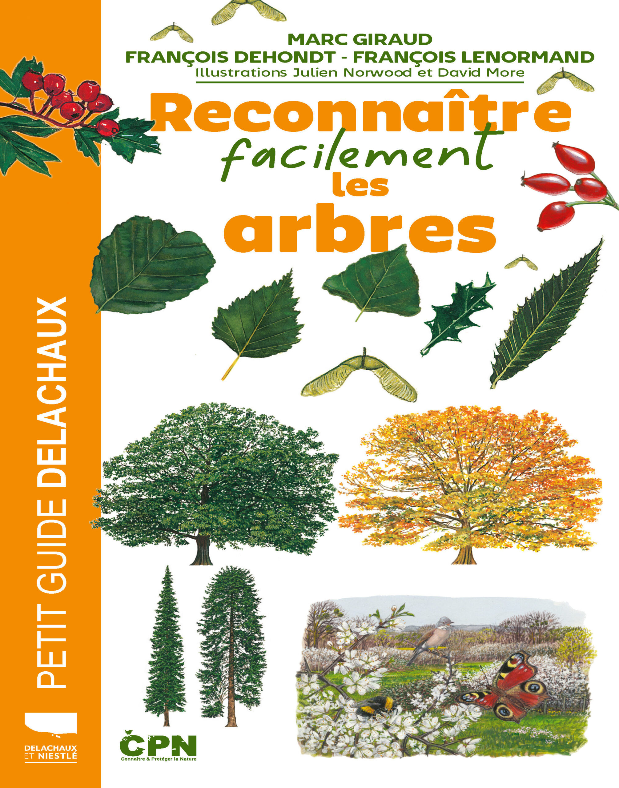RECONNAÎTRE FACILEMENT LES ARBRES