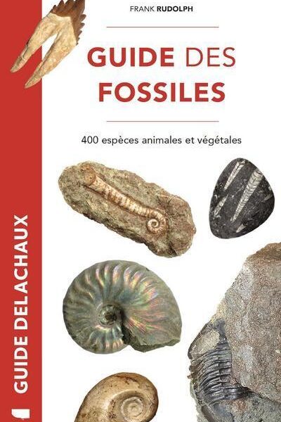 GUIDE DES FOSSILES - 400 ESPECES ANIMALES ET VEGETALES
