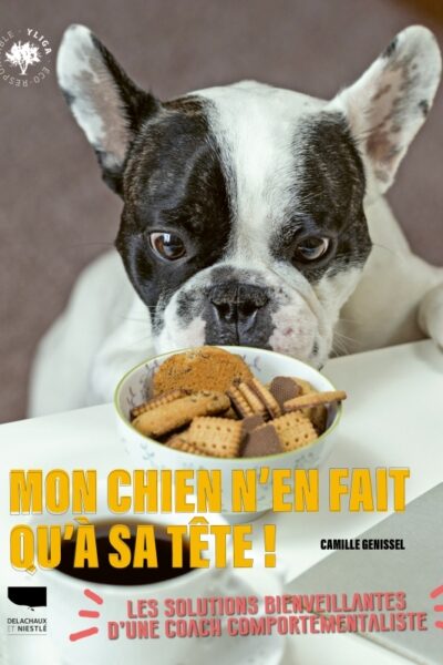 MON CHIEN N'EN FAIT QU'A SA TETE !. DES SOLUTIONS BIENVEILLANTES POUR S'EN SORTIR