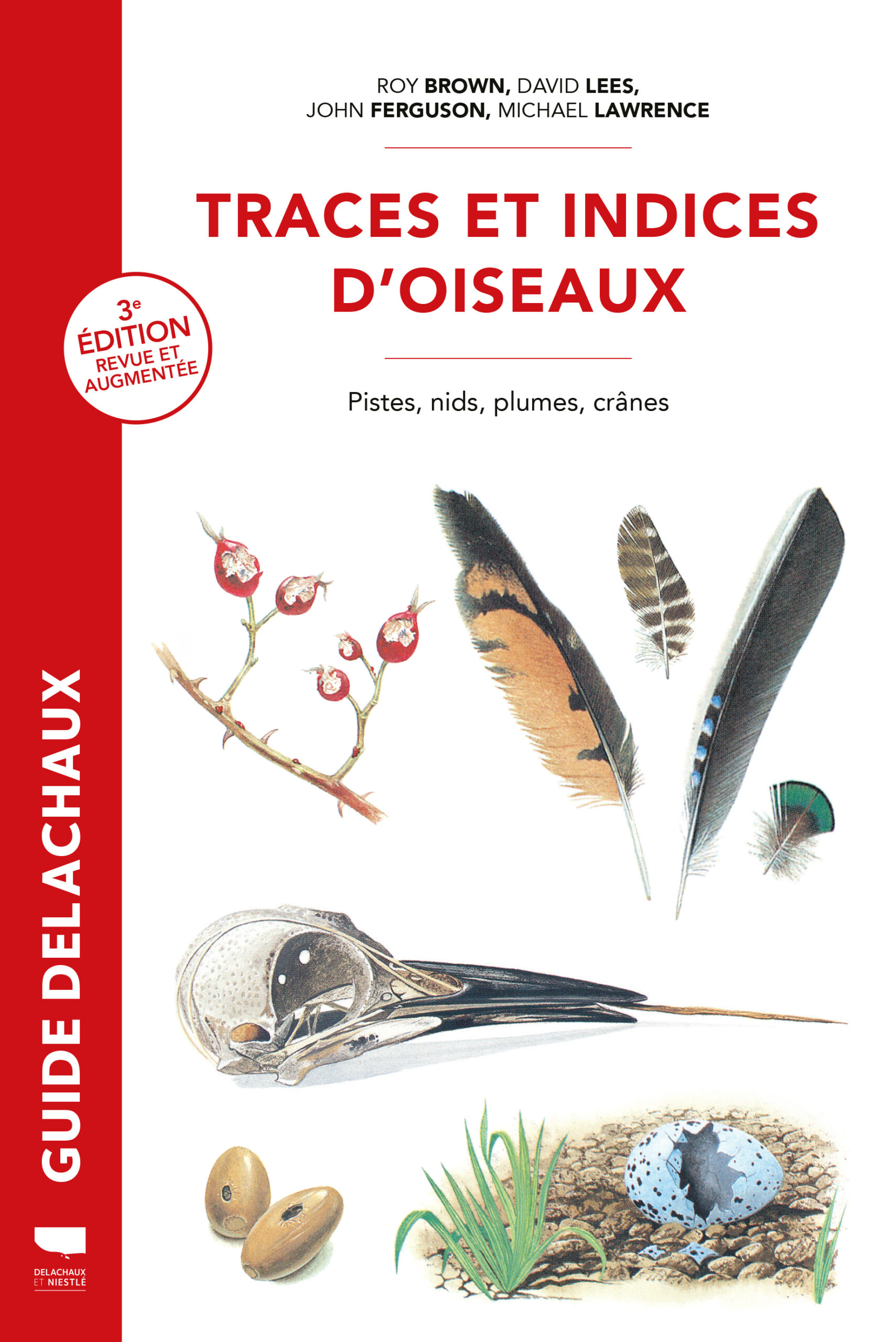 TRACES ET INDICES D'OISEAUX