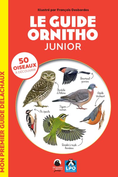 LE GUIDE ORNITHO JUNIOR : 50 OISEAUX