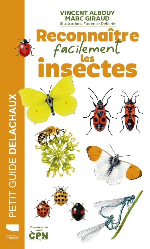 RECONNAÎTRE FACILEMENT LES INSECTES