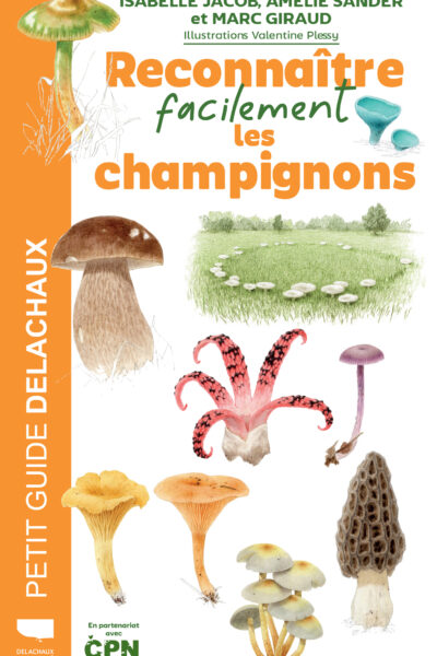 RECONNAITRE FACILEMENT LES CHAMPIGNONS