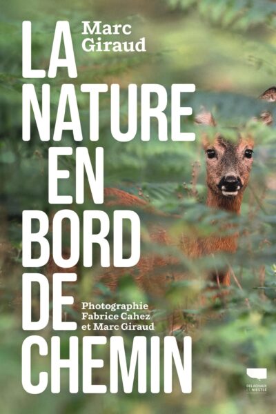 LA NATURE EN BORD DE CHEMIN