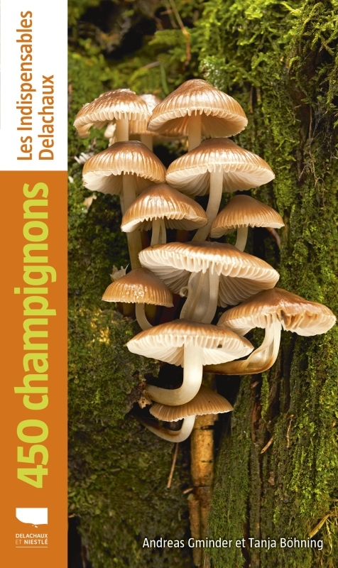 450 CHAMPIGNONS - LES INDISPENSABLES NATURE DE DELACHAUX