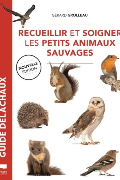 RECUEILLIR ET SOIGNER LES PETITS ANIMAUX SAUVAGES