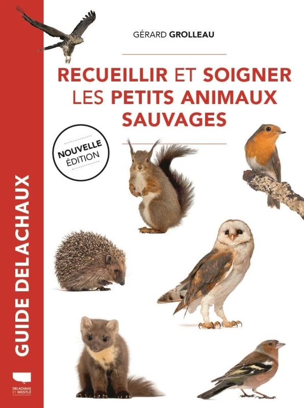 RECUEILLIR ET SOIGNER LES PETITS ANIMAUX SAUVAGES