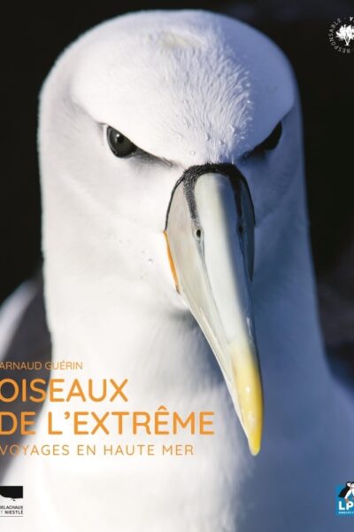 OISEAUX DE L'EXTREME - UN VOYAGE EN HAUTE MER