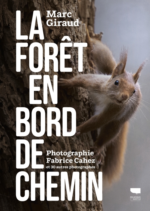 LA FORÊT EN BORD DE CHEMIN