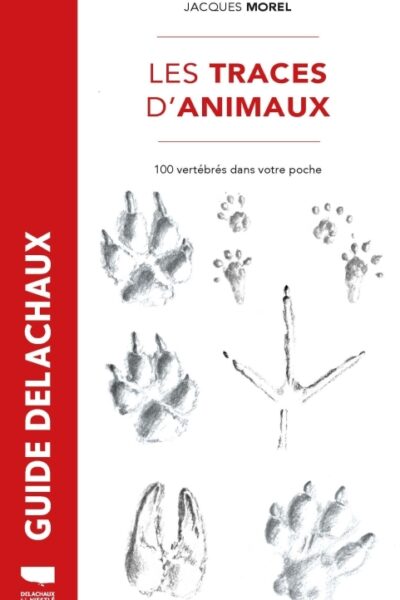 TRACES D'ANIMAUX - 100 VERTEBRES DANS VOTRE POCHE