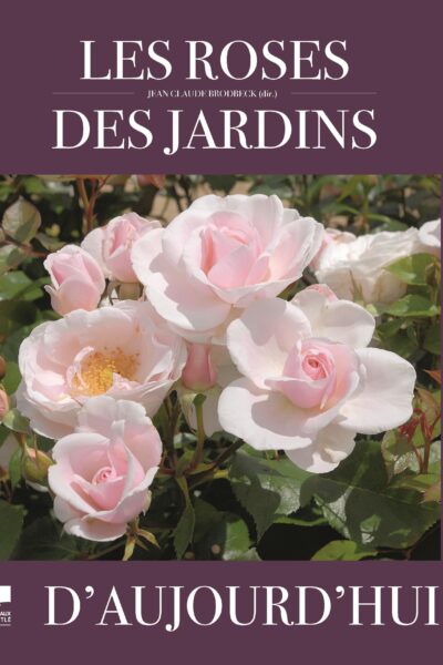 LES ROSES DES JARDINS D'AUJOURD'HUI