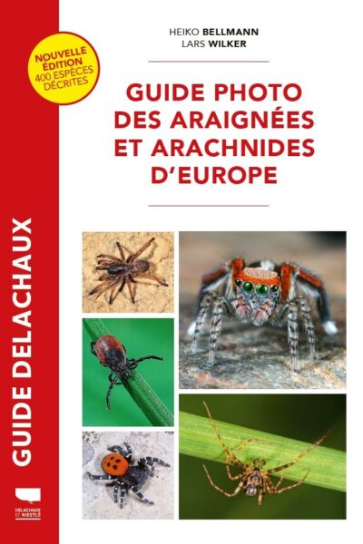 GUIDE PHOTO DES ARAIGNEES ET ARACHNIDES D'EUROPE