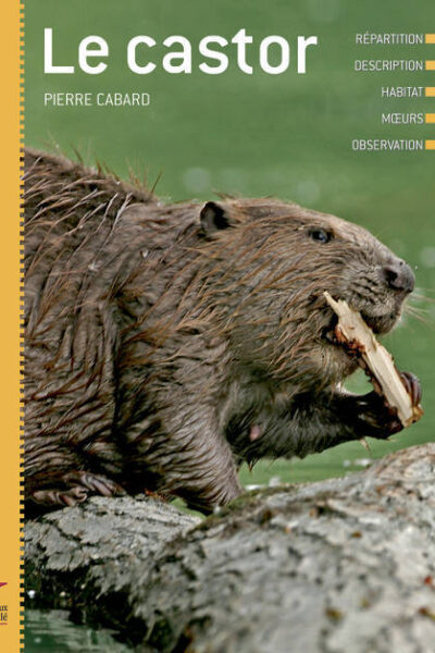 LE CASTOR