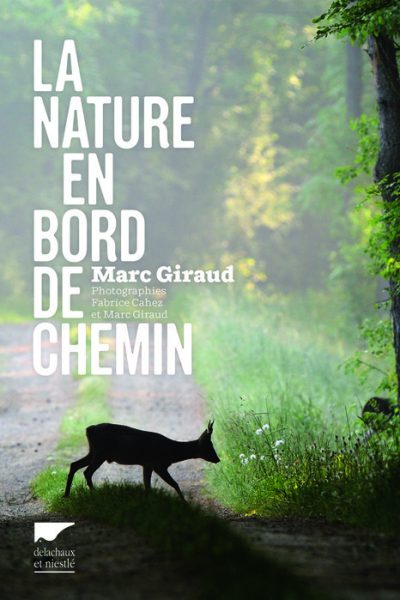 LA NATURE EN BORD DE CHEMIN