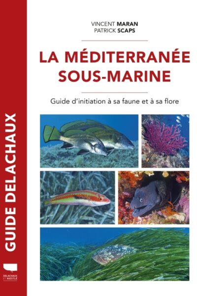 MEDITERRANEE SOUS-MARINE - GUIDE DE LA FAUNE ET DE LA FLORE