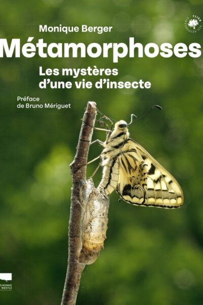 METAMORPHOSES