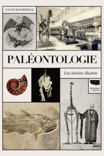 PALEONTOLOGIE. UNE HISTOIRE ILLUSTREE
