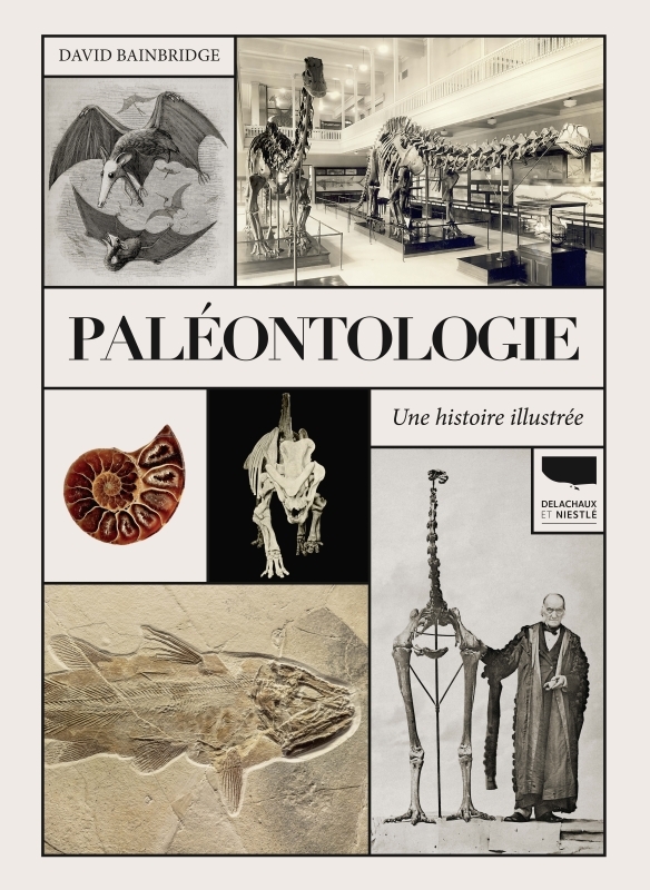 PALEONTOLOGIE. UNE HISTOIRE ILLUSTREE