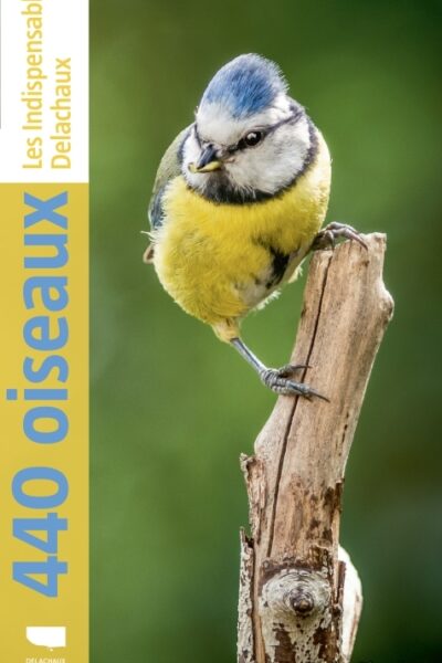 440 OISEAUX - LES INDISPENSABLES NATURE DE DELACHAUX