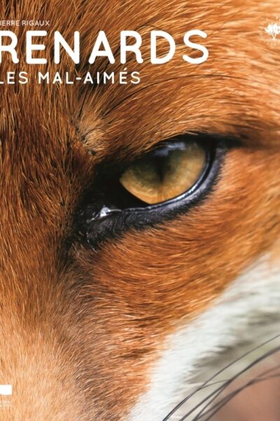 RENARDS LES MAL-AIMES