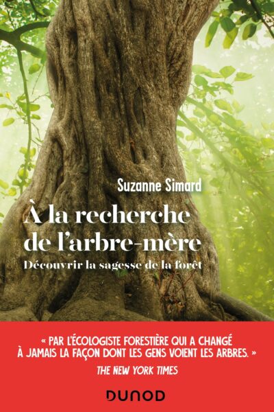 A LA RECHERCHE DE L'ARBRE-MERE - DECOUVRIR LA SAGESSE DE LA FORET