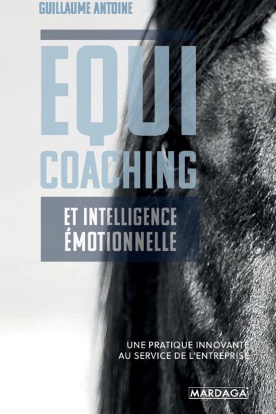 EQUICOACHING ET INTELLIGENCE EMOTIONNELLE UNE PRATIQUE INNOVANTE AU SERVICE DE L'ENTREPRISE