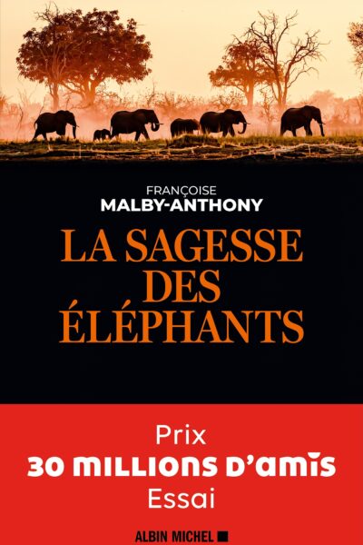 LA SAGESSE DES ELEPHANTS