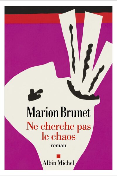 NE CHERCHE PAS LE CHAOS