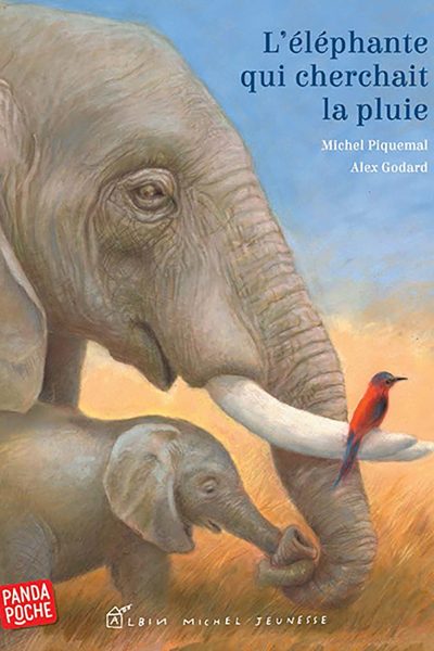 L'ELEPHANTE QUI CHERCHAIT LA PLUIE