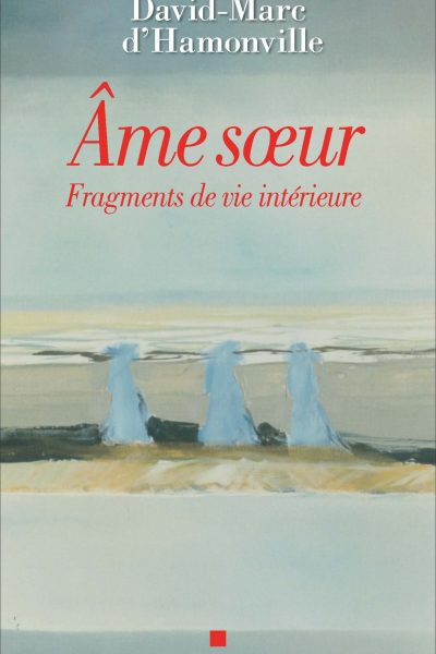 AME SOEUR - FRAGMENTS DE VIE INTERIEURE