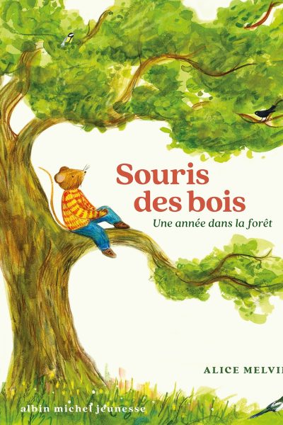 SOURIS DES BOIS - UNE ANNEE DANS LA FORÊT