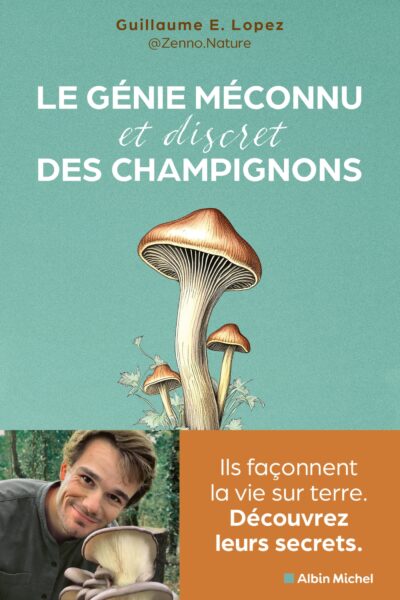 LE GENIE MECONNU ET DISCRET DES CHAMPIGNONS - ILS FACONNENT LA VIE SUR TERRE. DECOUVREZ LEURS SECRET