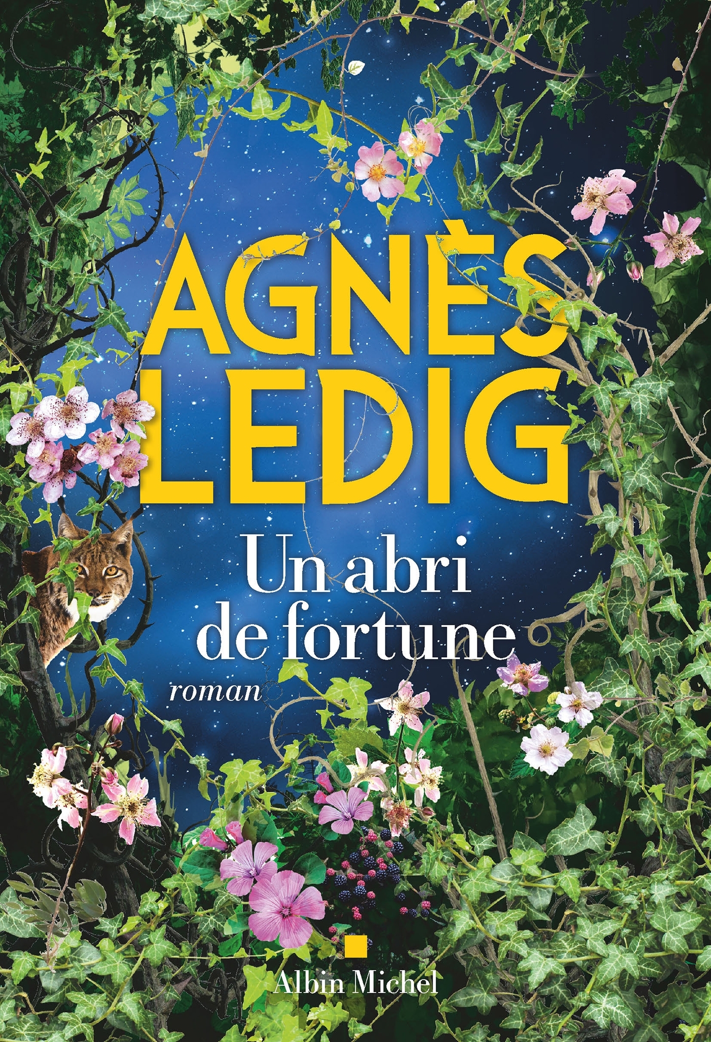 UN ABRI DE FORTUNE