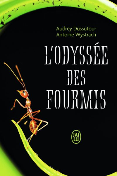 L'ODYSSEE DES FOURMIS
