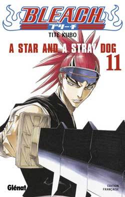 BLEACH T11 A STAR AND A STRAY DOG