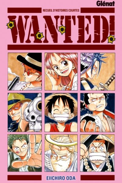 WANTED + ONE PIECE T01