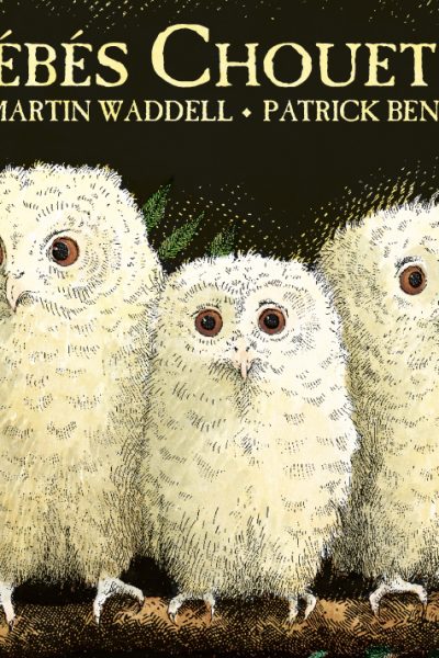 BEBES CHOUETTES (TOUT CARTON)